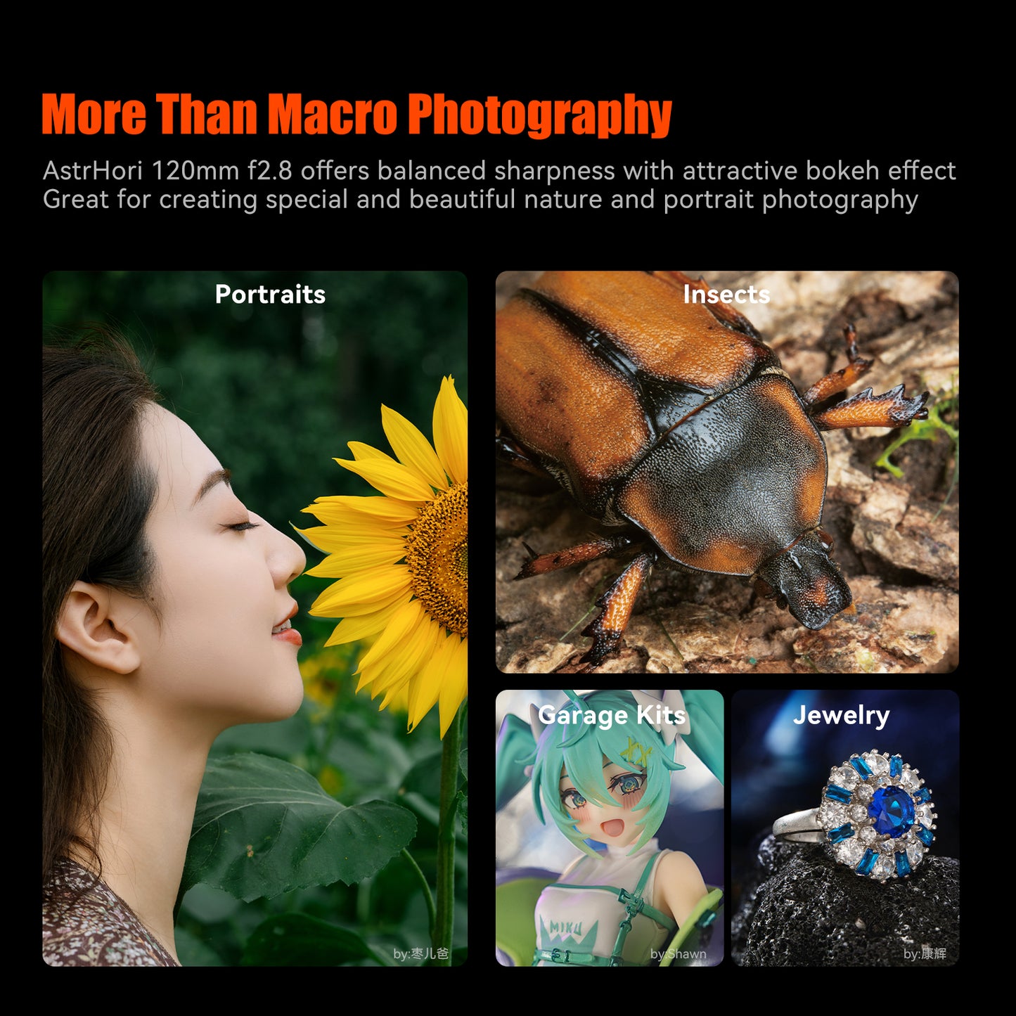 120mm F2.8 Full-frame Macro Lens for E/RF/Z/L/EF